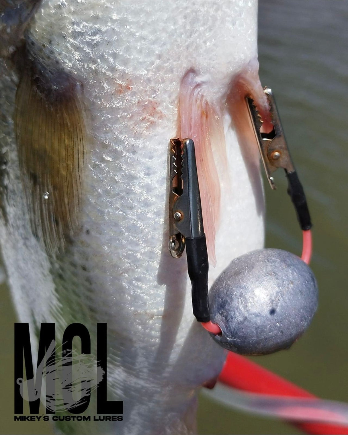 MCLClips Estabilizadores