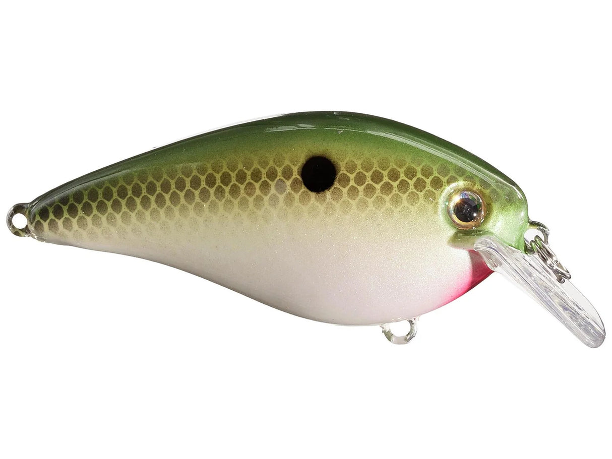 Strike King KVD 1.5 Squarebill Crankbaits
