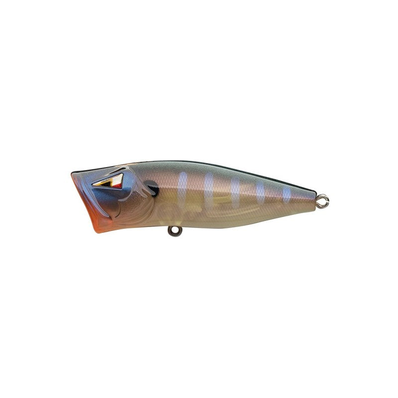 Ark Fishing Elite Z-Pop Topwater Popper