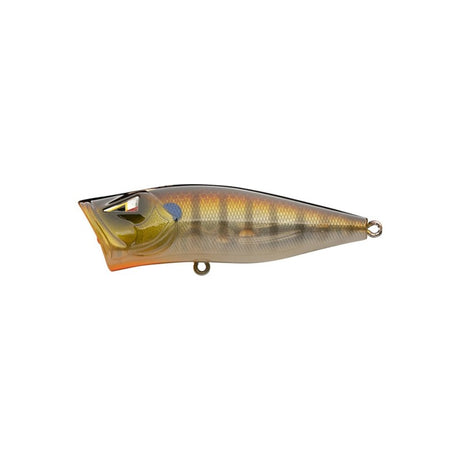 Ark Fishing Elite Z-Pop Topwater  Popper