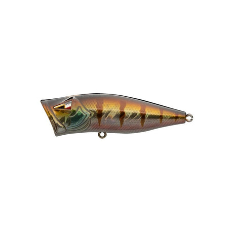Ark Fishing Elite Z-Pop Topwater  Popper
