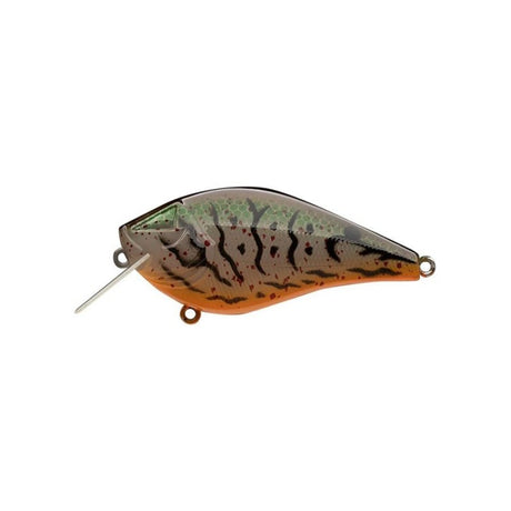 Ark Fishing Elite Z-Alpha S 1.5 Silent SquareBill