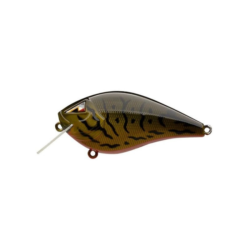 Ark Fishing Elite Z-Alpha S 2.5 Silent SquareBill