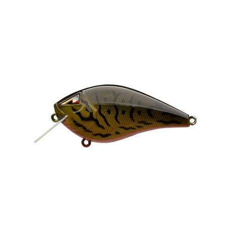 Ark Fishing Elite Z-Alpha S 2.5 Silent SquareBill