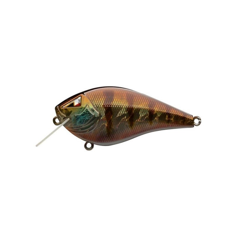 Ark Fishing Elite Z-Alpha S 2.5 Silent SquareBill