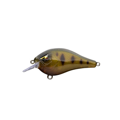 Ark Fishing CT35/CT57 Squarebill Crankbaits
