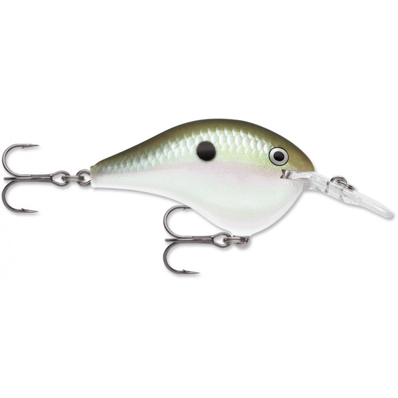 Rapala DT-08 Dives-TO Crankbaits