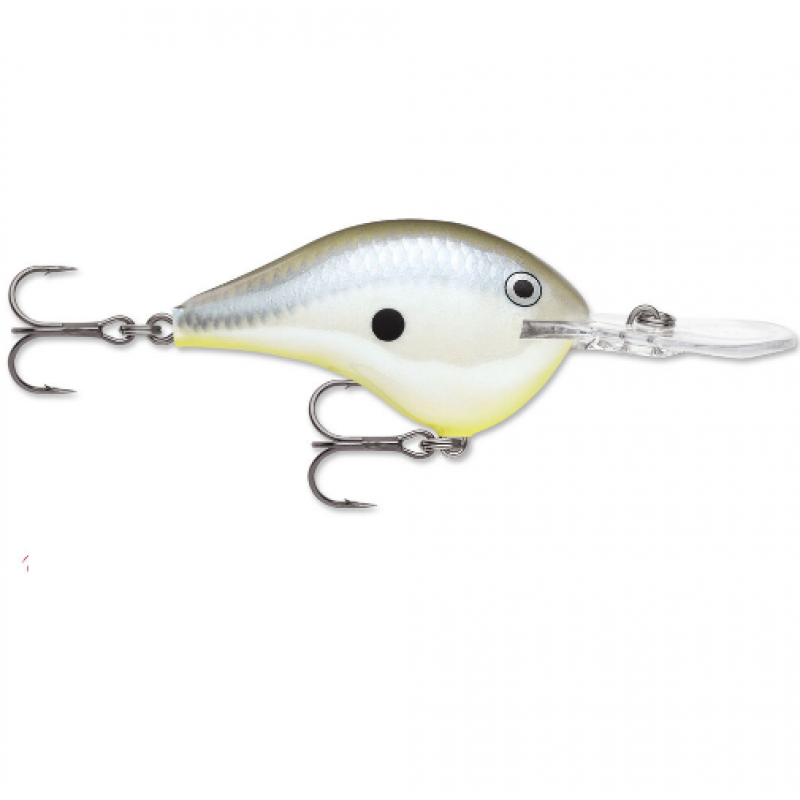Rapala DT-06 Dives-TO Crankbaits