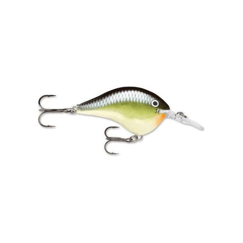 Rapala DT-06 Dives-TO Crankbaits