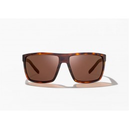 BAJÍO TOADS SUNGLASSES GLASS