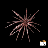 RR Kraken Ball – Floating