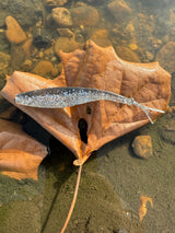 V&M Hyper Shad 4"