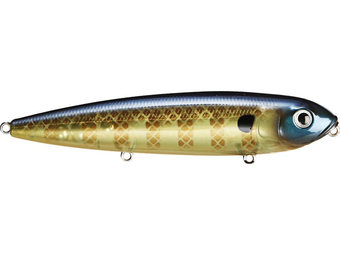 Strike King KVD Sexy Dawg Jr