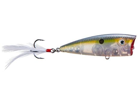 Strike King HC KVD Splash Popper