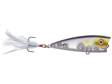 Strike King HC KVD Splash Popper
