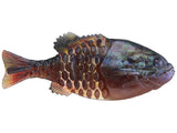 Berkley Powerbait Gilly Swimbait