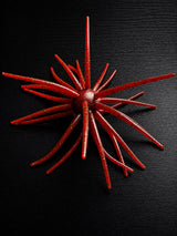V&M Baits The Thang 20mm