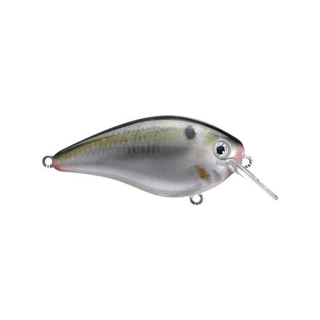 Strike King KVD 1.5  Squarebill Crankbaits